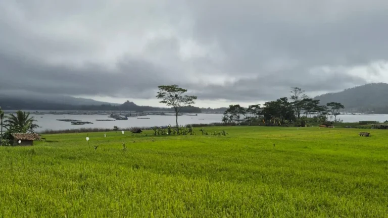 83d43988-eaee-4bcd-8fd7-6017dd1f5051